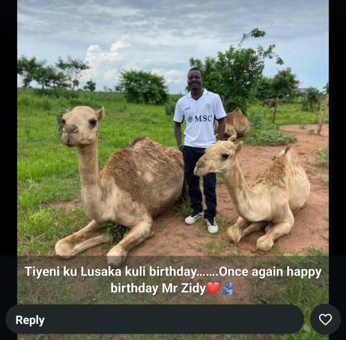 AgriSolutions BnB in Zomba