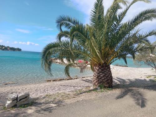 Blue Lagoon Apartment Gold - Location saisonnière - Lovište