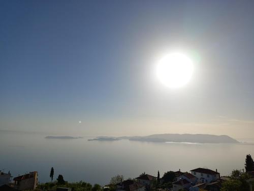 BlueSunnyParadise BlueSunnyParadise