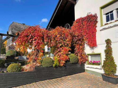 松呐黒木膳食公寓酒店