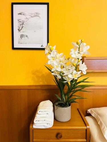 E&C Pension Rooms, Viena (foto 10)