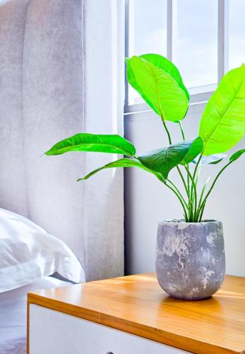 No.5 The Mint @ Puchong center near IOI Mall No.5 The Mint @ Puchong center near IOI Mall