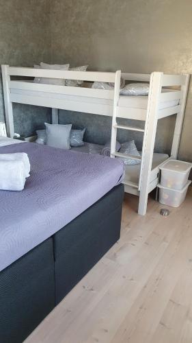 Gästehaus-Ferienwohnung Abendstern - garantierte Eintrittskarten für den EP! - image 8