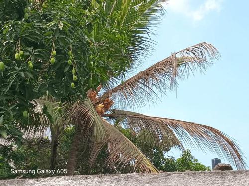 Jaans Inn in Ratmalana Airport