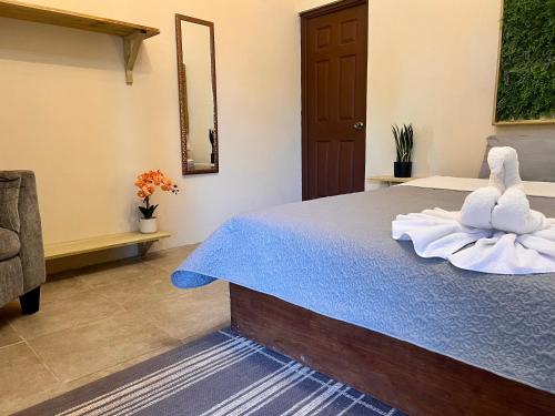 Zen Zaru Free MA Park Tour & Breakfast in Quepos