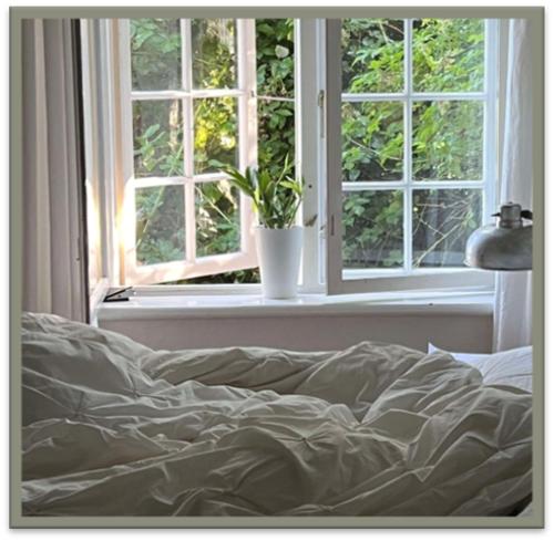 Edelsminde Bed & Breakfast - image 6