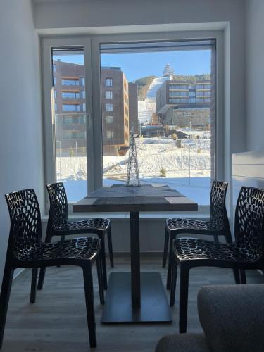 Apartment with a view of the ski slope, Dolní Morava