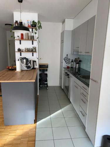 Ferienwohnung nahe des Rheins in Basel, Basel (photo 6)