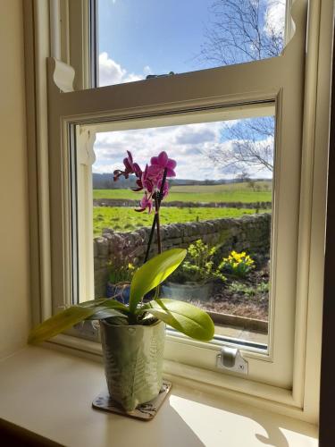 Birch Bothy, peaceful rural retreat in Slaley