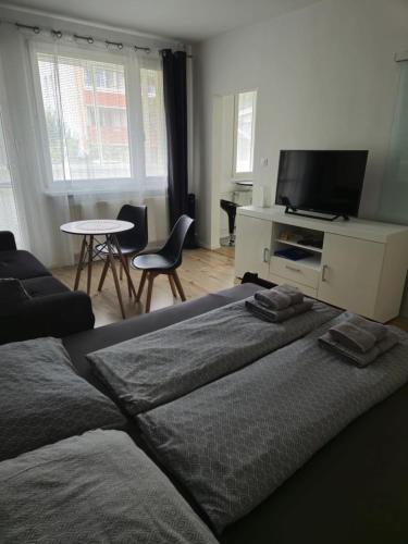 Apartment Klimka with balcony, free wifi and free parking, Братислава (фото 4)