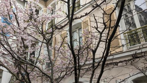 Chambres d'hôtes calmes sur jardin Paris Batignolles, Paris (photo 10)