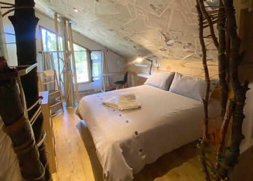 La Colmena eco lodge