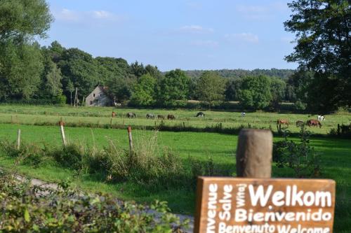  Appartement De Bosuil in Groesbeek