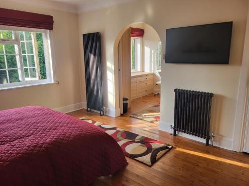 Deluxe King Room image 10