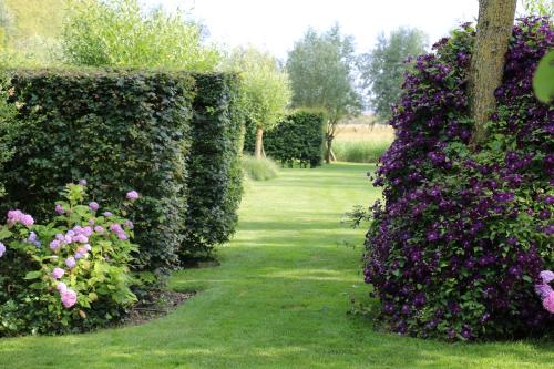 B&B Pronkenburg - main image