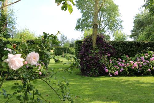 B&B Pronkenburg - image 2
