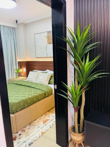 One-Bedroom Apartment image 3