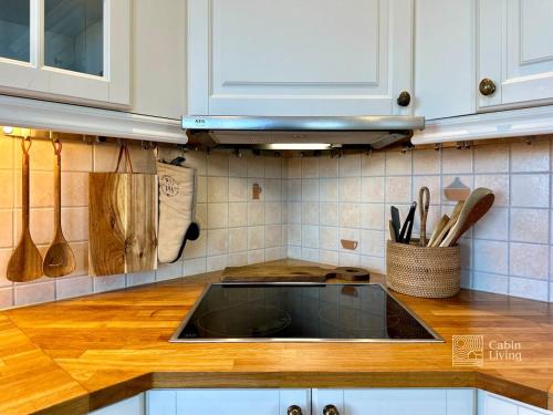 Villa in Kragerø with sea view, golf cart & RIB Villa in Kragerø with sea view, golf cart & RIB