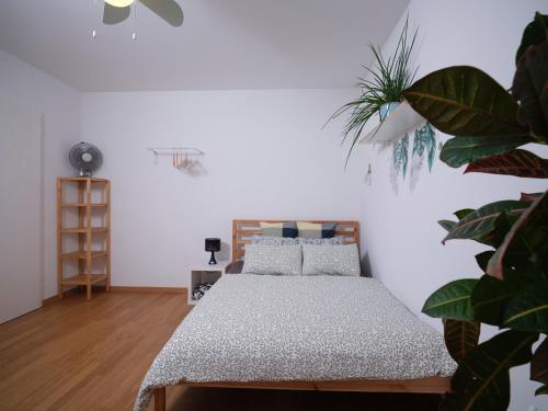 Doppelzimmer in der nähe des Flusses und Stadions, Basel (Foto 3)