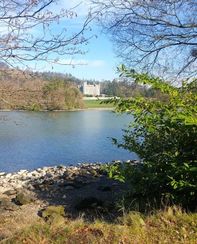 Whitehill Cottage in Ballyroney