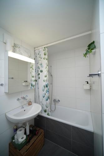 Doppelzimmer bei Natur & Events, Basel (Foto 10)
