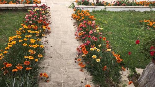 Poseidon Garden View Apartment