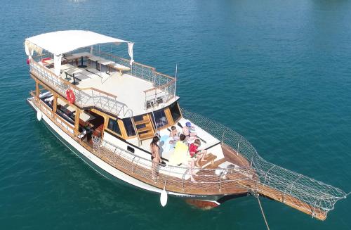 Apollon boat tour