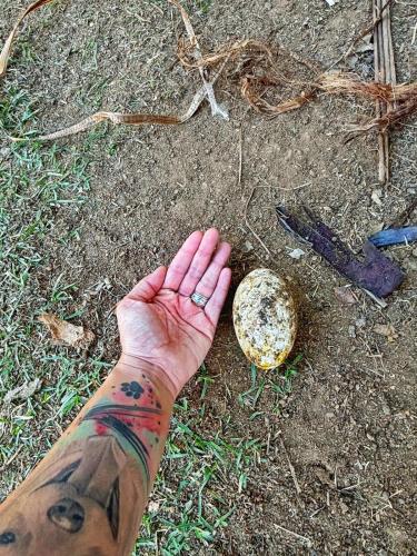 Chácara NataOriBon- Ibiuna - SP