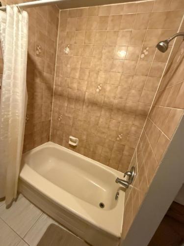 STAY AT FLAT CAD 39- Next to Airport, Transit, Park in 基奇纳(ON)