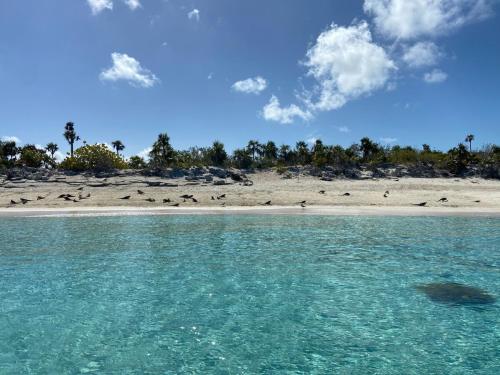 Beach, Anna's Hidden Gem Waterfront in Farmer's Hill