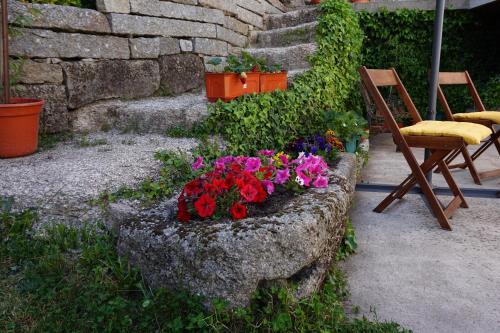 B&B Montalegre - Casa de Campo Neves - Bed and Breakfast Montalegre