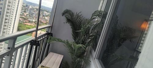 Guest Best Suite at Grass Residences