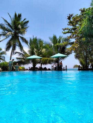 スイミングプール, ガネッシュ ガーデン ビーチ カバナス (Ganesh Garden Beach Cabanas) in タンガラ