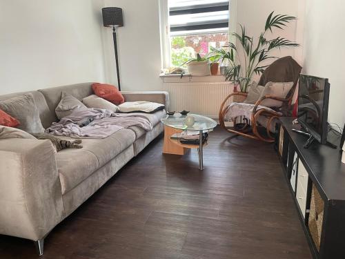 Like a house - lovely Maisonette with Cats, Bremen (Foto 5)