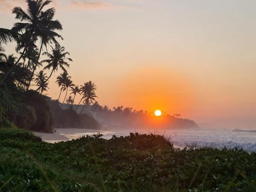 Surf Forever, Midigama East (fotografie 9)