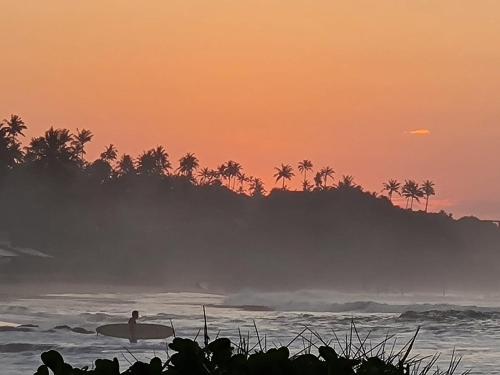 Surf Forever, Midigama East (fotografie 11)