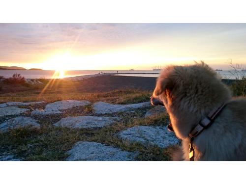 Japari Tateyama - Vacation STAY 84008v