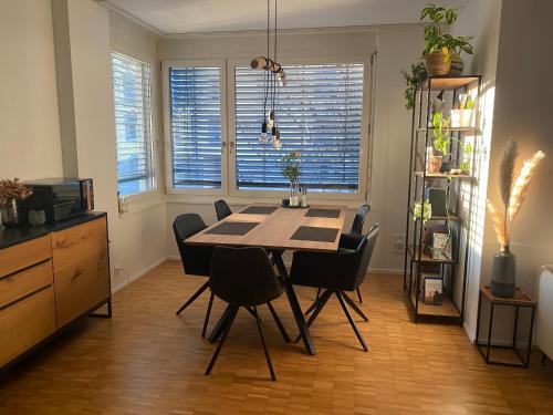 Ferienwohnung nahe des Rheins in Basel, Basel (photo 3)