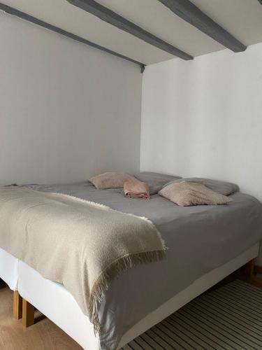 BEAU studio dans l hyper centre, Strasbourg (photo 2)