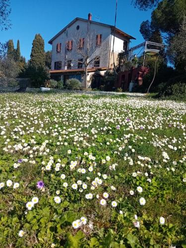 Kert, Sunset Guest House in Peccioli