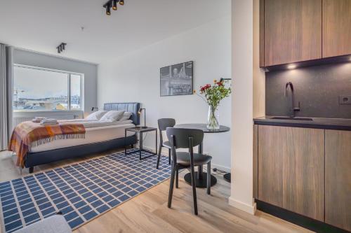 Superior Studio room in Hlemmur Suites