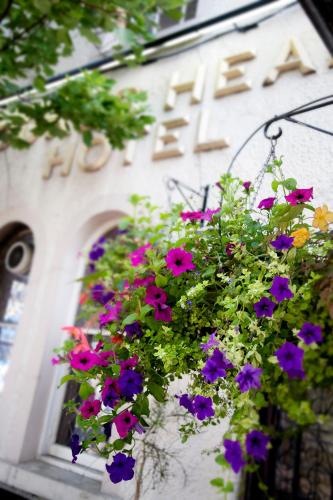 Dukes Head Hotel - image 12