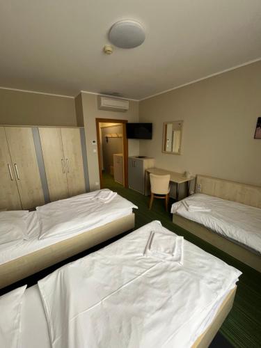 Buly Aréna Kravaře Room Type - Standard Triple Room