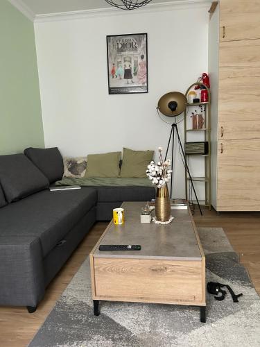 Cozy Appartment in Voltaire, París