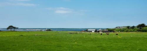 Spring Hill, Colwell in Freshwater North