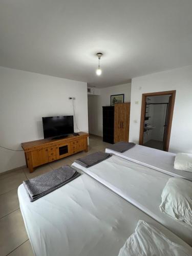 Sea of Galilee Gemstone in Alsó-Tiberias