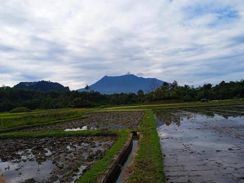 Vista, Balqis Homestay Syariah III Nagari Salo Kec Baso Kab Agam in Kamang Hilir