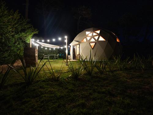 Ocean Domes