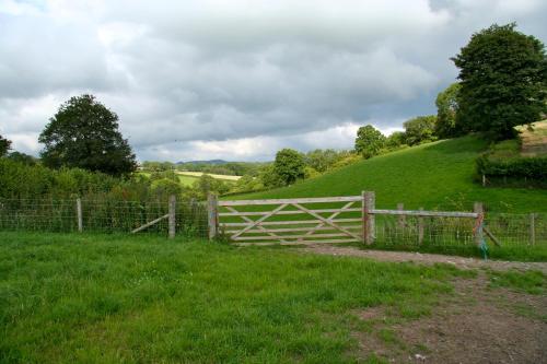 Pwllgwilym B & B - image 12