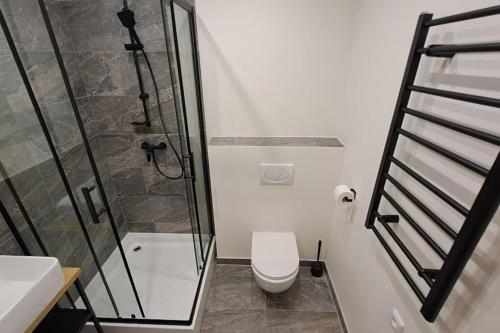 Contemporary Zizkov Studio -001- - image 6